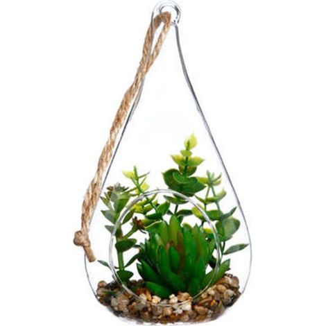 Terrarium en verre, Forme Goutte H19.5 cm - Crassulas - SILUMEN (1/3)