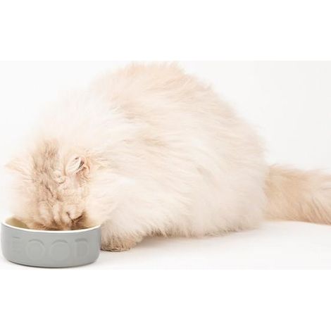 Scruffs Classic Food Bowl 15cm - PK 6 - 267786 (1/2)
