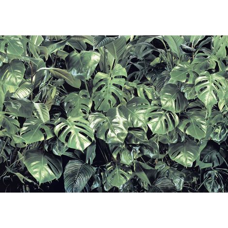 Komar Fototapete Verdure 368 x 254 cm Fototapeten & Poster (1/2)
