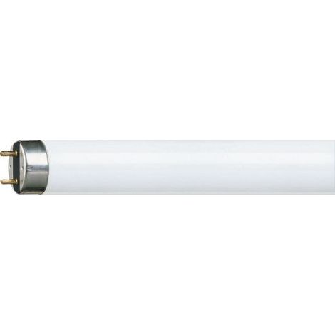 Philips MASTER TL-D Super 80 lampada fluorescente 58 W G13 Illuminazione fredda A