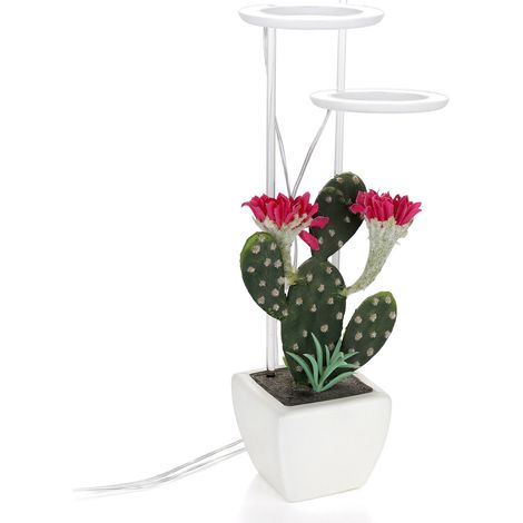 Lampe de croissance LED pour plantes succulentes et plantes en pot, 5 modes d'intensité variable, minuterie, USB (1/5)