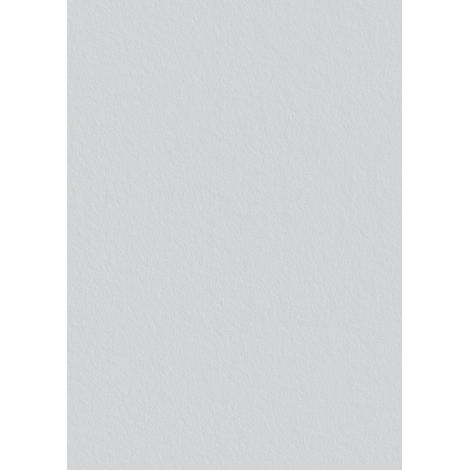 Toile de verre P50 voile Préencollée 220g/m² - 50 m x 1 m