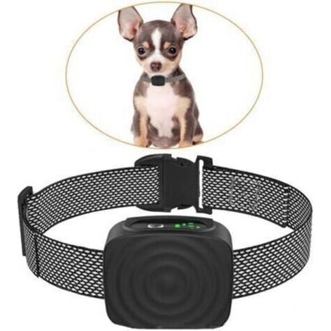 Collier pour chien de petite/moyenne taille, 5 à 15 lb, sans choc, rechargeable, anti-aboiement, avec sensibilité et force réglables, collier anti-aboiement Collier anti aboiement (1/5)