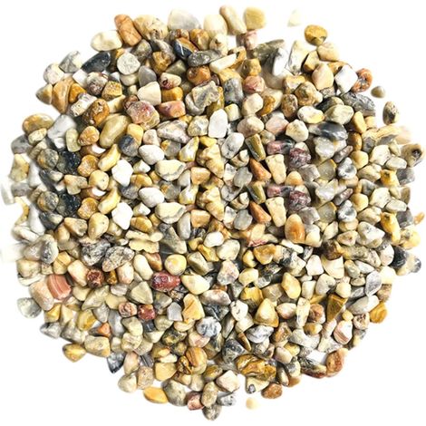Pierres Décoratives Pour Plantes - Galets Naturels Polis - Remplissage Pour Vases Terrariums et Jardins Miniatures - 100 g (1/4)