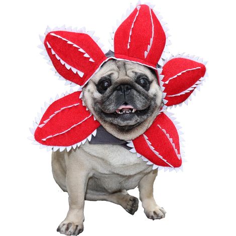 Costume pour chien Demogorgon - Chapeau d'Halloween avec motif floral effrayant pour chat et chien - Chapeau mignon pour cosplay - R (1/5)