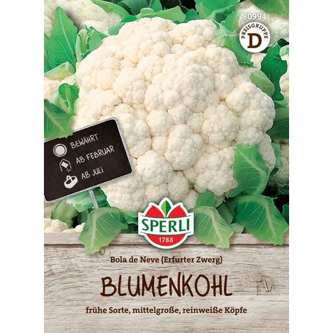 Sperli Blumenkohl Bola de Neve - Erfurter Zwerg - Gemüsesamen (1/2)