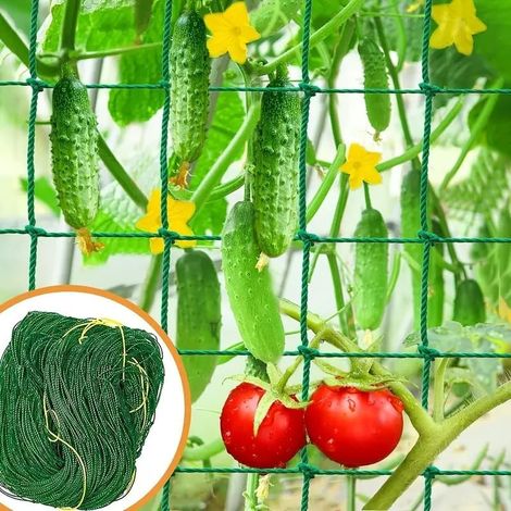 Jardin Trellis filet pour plantes d'escalade, 3x6ft, 27 brins filet pour plantes d'escalade, légumes, fruits et fleurs (vert) (1/4)