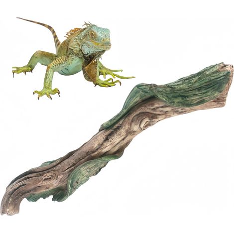 REZEA Branche - Branche en résine d'escalade pour reptiles (1/4)
