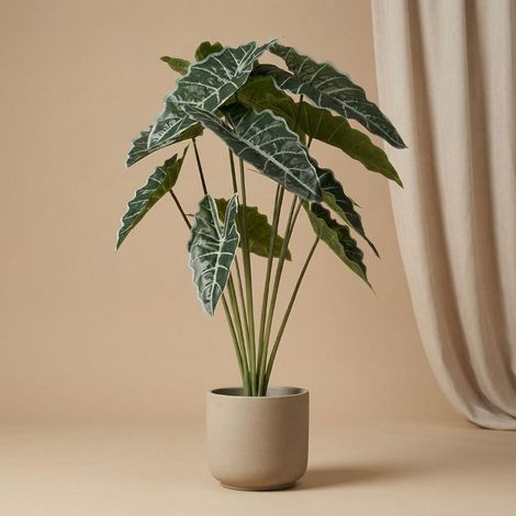 Plante Artificielle Alocasia 80 cm Décoration Intérieure Grandes Feuilles Vertes - PANGIVO (1/5)