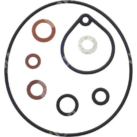 Kit Riparazione per carburatori DELL'ORTO 52535.77 - 5253500.77 COMPATIBILE - 008420