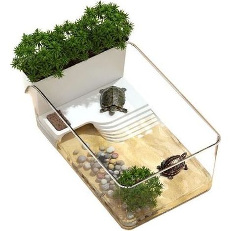 Acquario per tartarughe - Terrario trasparente per tartarughe (1/5)