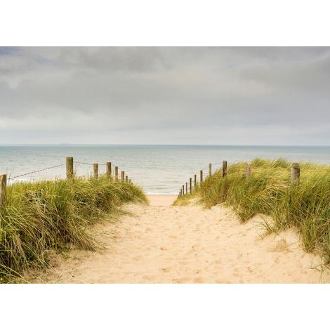 Papier peint intissé chemin vers la plage ciel gris 375 x 270 cm