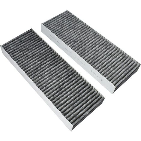 Filtro de carbón AllSpares apto para BAKFS y BIU/BHU/BFIU (2 piezas)