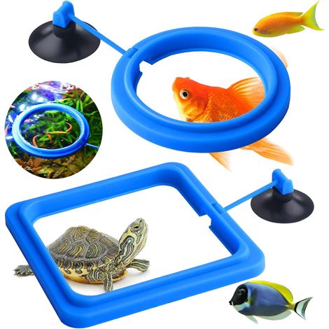 Lot de 2 mangeoires pour poissons d'aquarium - Accessoires circulaires pour gupy, Bettas, poissons rouges, tortues (bleu) (1/5)