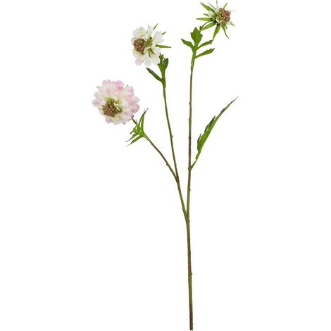 The Natural Garden Collection Scabious - Artificial Flower (Single Stem) - Plastic - L17 x W21 x H65 cm - Pale Pink