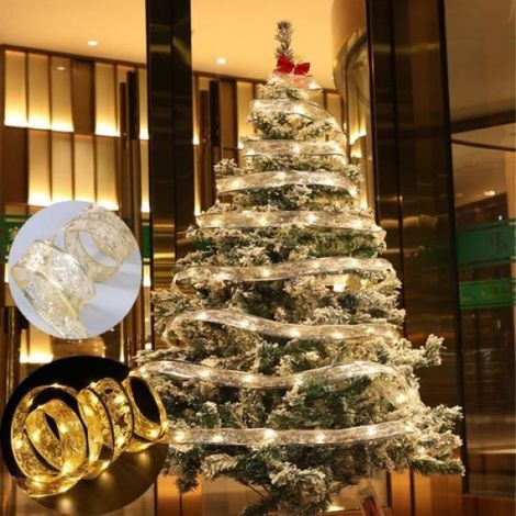 Guirlande Lumineuse Noël - 5 M - 50 Ampoules - Alimentation Piles - Pour Intérieur Extérieur - 2 Pièces (1/4)