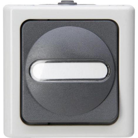 Kopp AP-FR TASTER SCHL. BEL. GRAU (560856002 BLUE ELEC) (1/5)