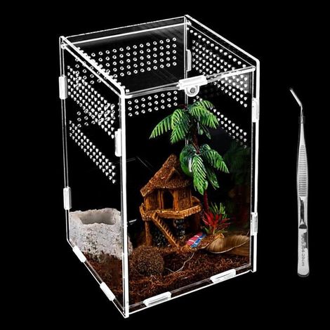 Terrarium acrylique 1 unité Transparent Ventilation à 360° Élevage de reptiles et d'insectes 20 x 12 x 12 cm (1/5)