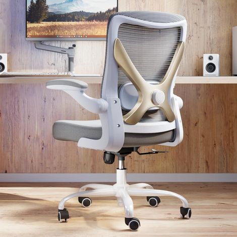 Ergonomischer Bürostuhl Gaming Stuhl mit Lendenwirbelstütze Grau (1/2)