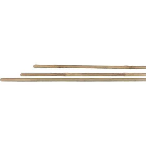 7 TUTEURS NATURELS EN BAMBOU DE QUALITE- H90 X Ø8-10MM CIS (1/5)