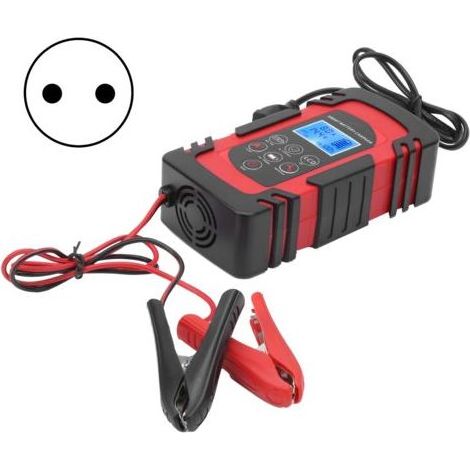 Chargeur de batterie intelligent DC-80 avec protection contre la surcharge pour voiture et moto (1/5)