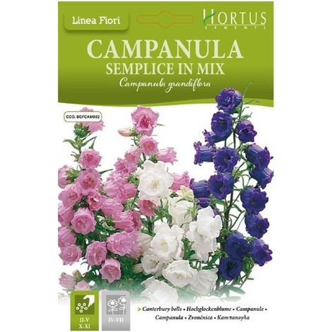 Campanula Semplice mix DB