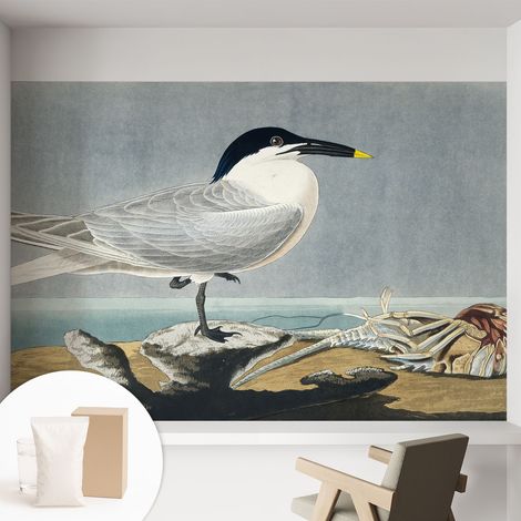 Newroom Tapete Dekorative Vliestapete mit Kleber Modern für Wohnzimmer Schlafzimmer Ornithologische Eleganz 152x104 cm (1/5)