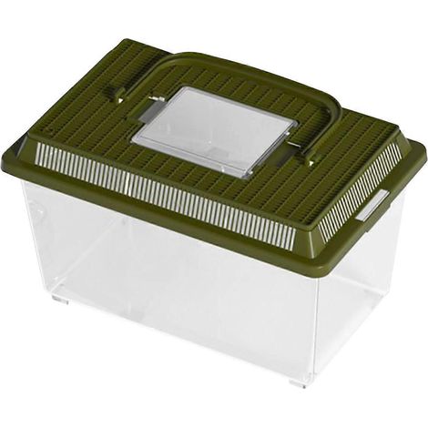 Mini terrarium pour reptiles 23x13x15,5 cm, boîte d'alimentation, cage d'élevage, poignée portable, vert pour dragon barbu et mygale, pour maison (1/5)