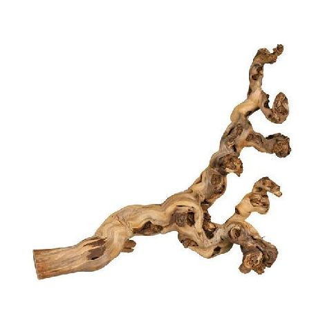 Trixie Decoración Vid Natural 55-80 cm para Terrario