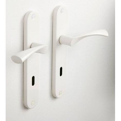 maniglie per porte Anais con entrata chiave CHAINEY, acciaio, interasse 195 mm Vedi i dettagli del prodotto AUTRES
