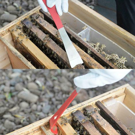 Outil de grattoir de ruche, lève-cadre et brosse, fumeur pour apiculteur, ensemble de fournitures (1/5)