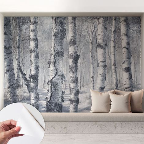 Fotomurale adesivo - parete decorativa - decorazione casa - stile moderno parete - Natura gelida 208x146 cm (1/5)