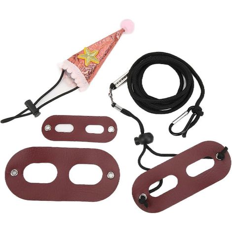 Verstellbare Trainingsleine für Echsen und Ledergeschirr, Set mit Geburtstagshut, Reptilienzubehör, verstellbare Größe, komplettes Terrarien-Haustier-Set (1/5)