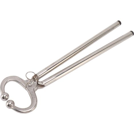Pince à nez de vache en acier inoxydable à verrouillage automatique, pour la coupe des anneaux nasaux des bovins, idéale pour les élevages agricoles. (1/5)