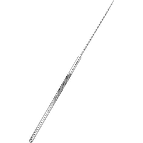 5 aiguilles de dissection en acier inoxydable pour anatomie d'insectes, outil de laboratoire de précision (1/5)