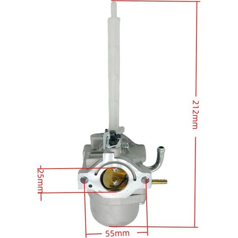 Carburateur 796122 für BS 793161 696737 794593 20E114 808-005 (1/5)