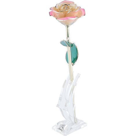 Rose à tige longue trempée or 24 carats en coffret cadeau avec support (Rose blanche et rose avec support) (1/5)