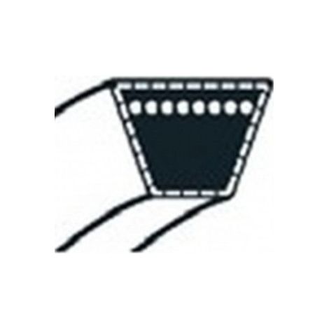 1134-9135-01 - Courroie primaire embrayage de lame pour tondeuse autoportée STIGA