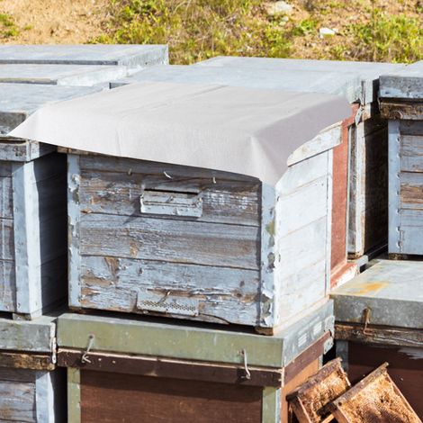 Packung mit 10 Bienenstock-Abdecktüchern aus Baumwolle, isolierender Schutz, Imkerzubehör, Imker (1/5)