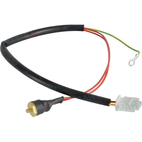 Thermostat de fumées pour Edena (1/2)