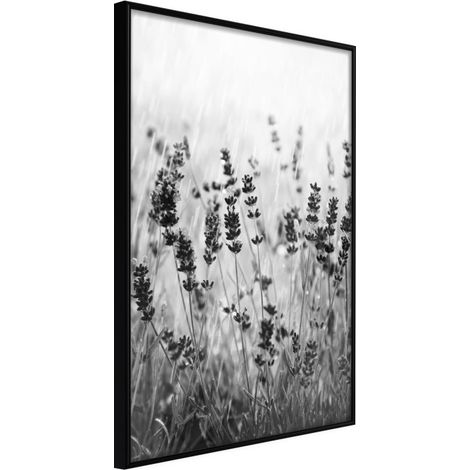 Affiche Murale Encadrée "Shadow of Meadow" 40 x 60 cm Noir