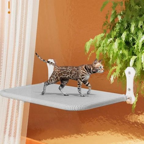 Hamac pour chat - - Pliable - Cadre en métal - 4 ventouses puissantes - Intérieur (1/4)