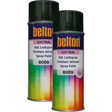 2 bombes de peinture Belton Spectral RAL6009 vert sapin 400ml