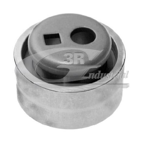 3RG 13243 RODILLO TENSOR