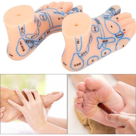 Planche d'acupuncture pied 15cm pour réflexologie et formation médicale (1/5)