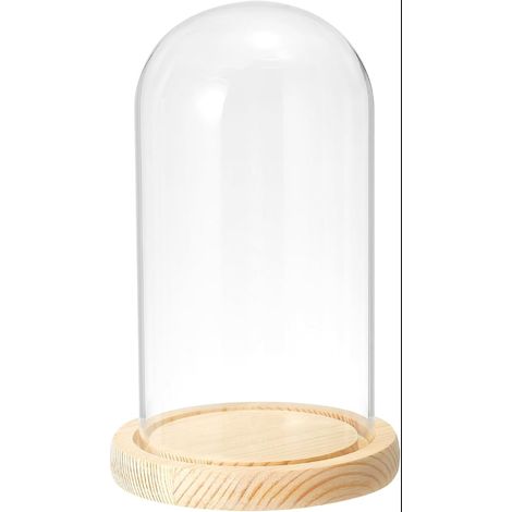 Clair Cloche Verre Dôme, Jar Présentoir Coffret Table Pièce Maîtresse avec En-bois Base pour LED Lumière Plantes Maison Décoratif (1/5)