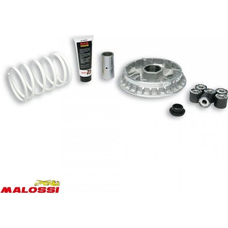 malossi variator für roller kymco 500 x-citing nach 2006 5114264 (1/2)
