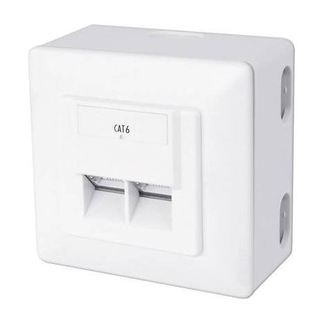 Digitus CAT 6 presa murale modulare bianca 2 porte RJ45 (1/4)