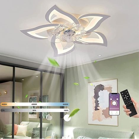 Ventilateur de plafond silencieux 50W avec télécommande – Lumière LED réglable 3000K-6000K – 6 vitesses – Diamètre 69 cm – Pour salon et chambre (1/4)