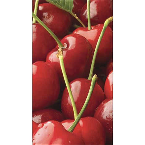 Sticker réfrigérateur et lave vaisselle, cerise gourmande douceur fruitée plaisir naturel déco, 180 cm X 100 cm (1/4)